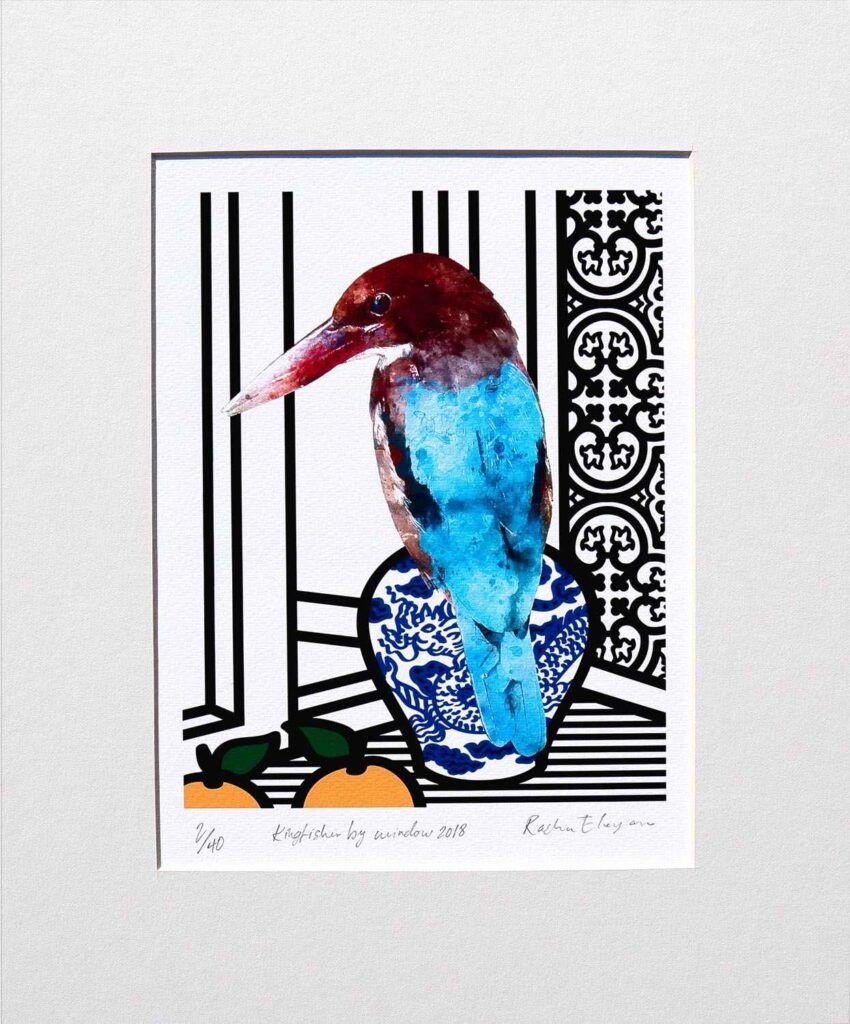 Kingfisher By Window